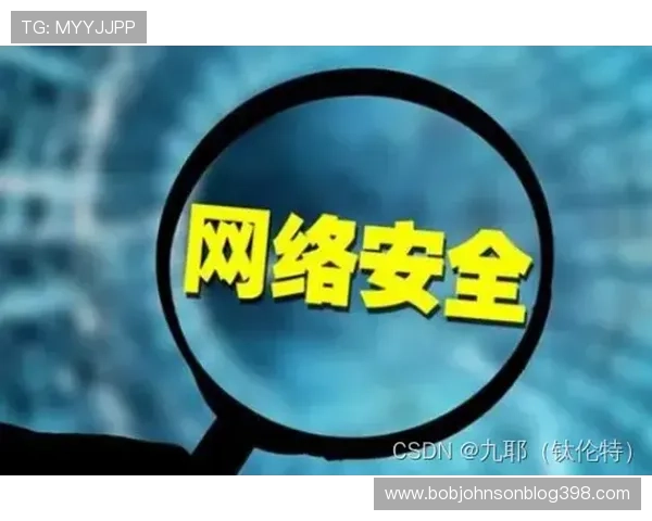 尊龙体育官方平台的安全保障措施，确保每一位用户的资金与信息安全